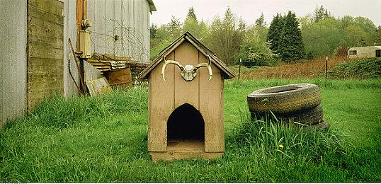 《蔚蓝》开发团队内部出现分歧 新作《大地之刃》宣布取消开发